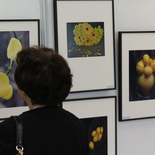 Expositions